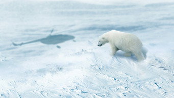 Arctic from Above (2023)
