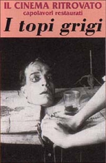 Poster of I topi grigi