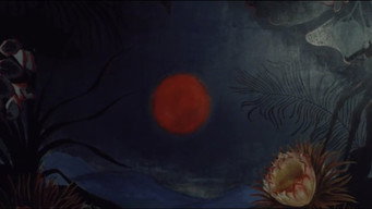 #28 Orgasm: Mariko
