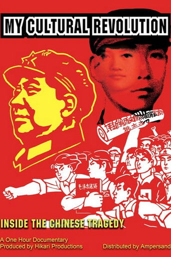 Ma r&eacute;volution culturelle (2014)