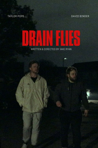 Drain Flies