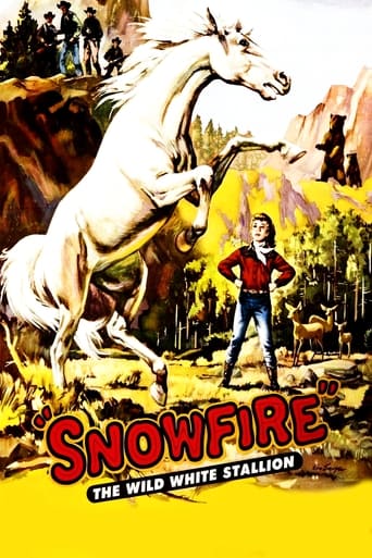 Poster för Snowfire