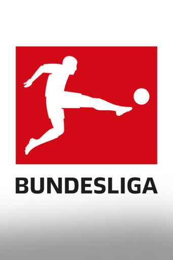 분데스리가 poster
