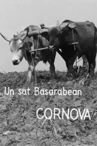 Un sat basarabean, Cornova (1932)