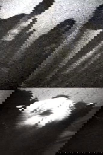 In The Darkness Of The Space