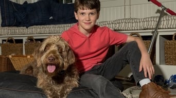 Galeria 3 - Pensar como un perro