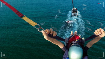 Cena 1 de Caught! Sharks Strike Back