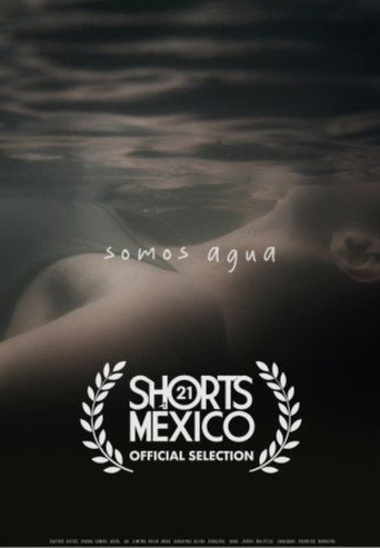 Poster film Somos agua