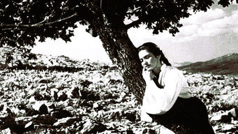 The Girl and the Oak (1955)