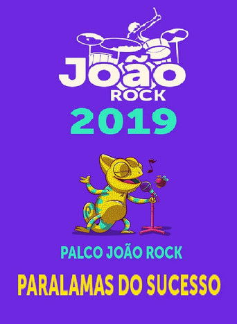 Paralamas do Sucesso - João Rock 2019 poster