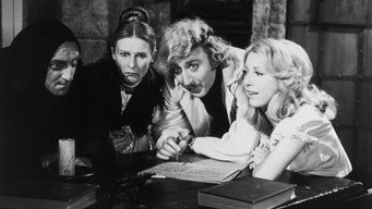 Young Frankenstein backdrop 3