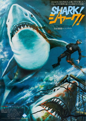 Men and Sharks