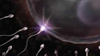 Episode 20 — Episode 20