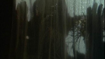 #15 Goosebumps