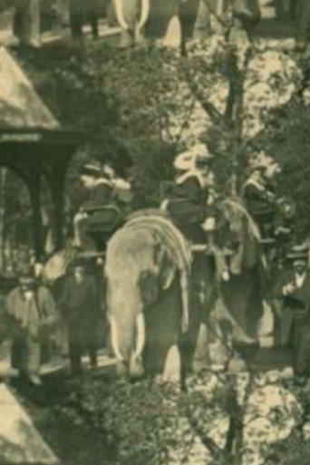 Poster film Jardin d'acclimatation