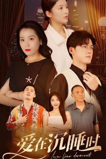 爱在沉睡时 poster