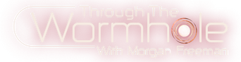 Through the Wormhole logo