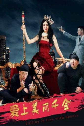 爱上美丽千金 poster