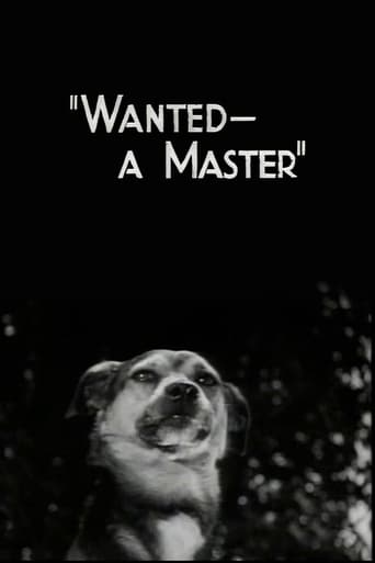 Wanted - A Master en streaming 