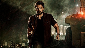Saindhav (2024)