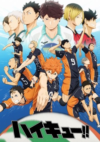 Haikyu!! Collection Poster
