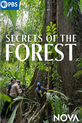 Secrets of the Forest (1970)