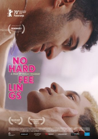 No Hard Feelings Poster