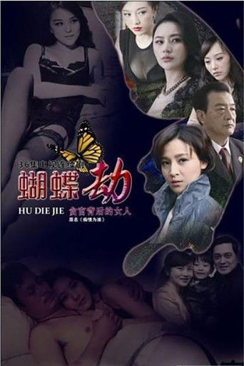 蝴蝶劫 poster