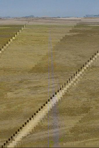 The Wall