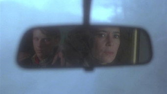 Litan (1982)