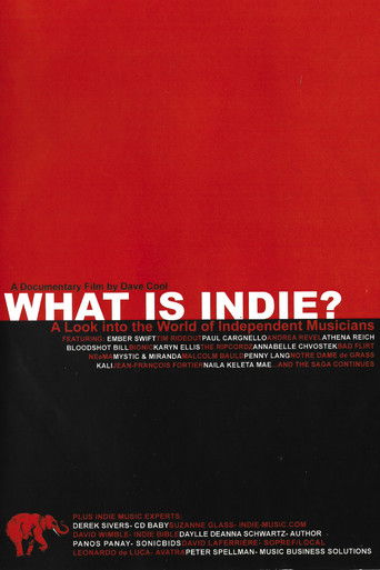 What is Indie? A look into the World of Independent Musicians poster