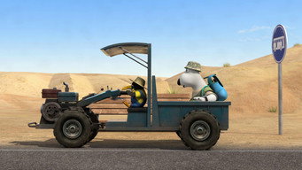 Berni T6E7