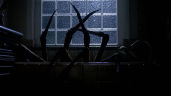 Night Spider (2026)