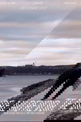 Te dire au revoir poster