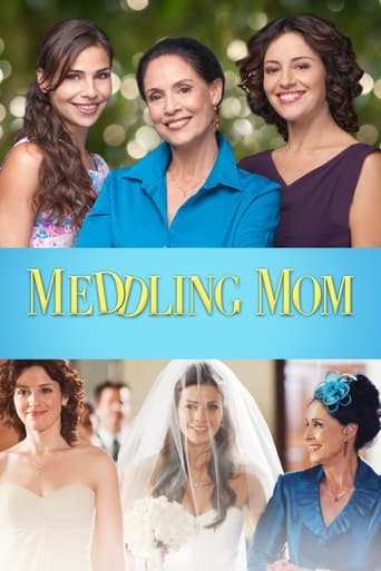 Poster of Meddling Mom