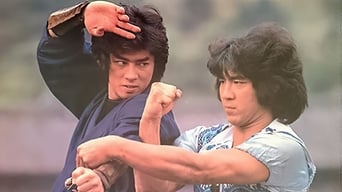 Ninja In The Dragon's Den (1982)