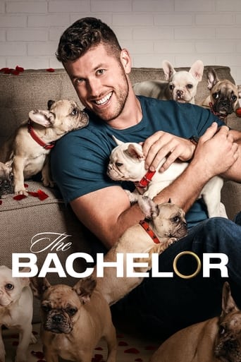 The Bachelor poster