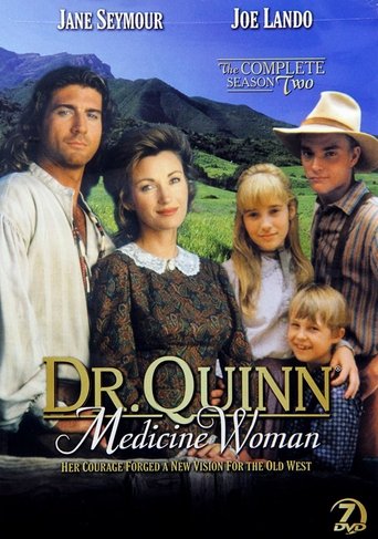 Dr. Quinn, Medicine Woman poster