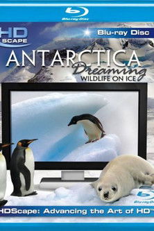 Antarctica Dreaming poster