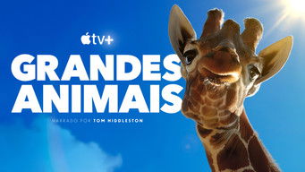 Cena de Grandes Animais