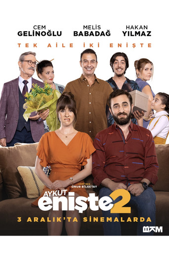 Brother in Love 2 poster 1