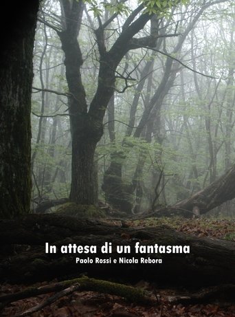In attesa di un fantasma