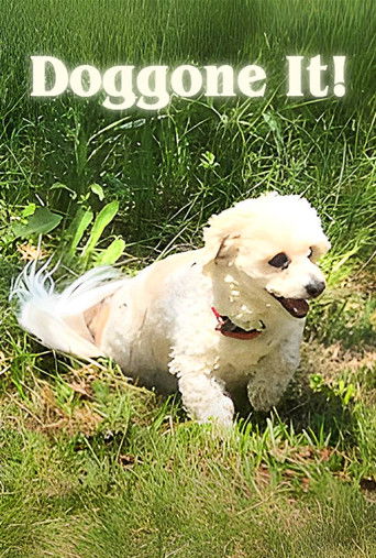 Cartell de Doggone It!