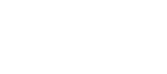Survive the Raft logo