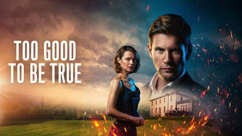 Too Good to Be True (2024)