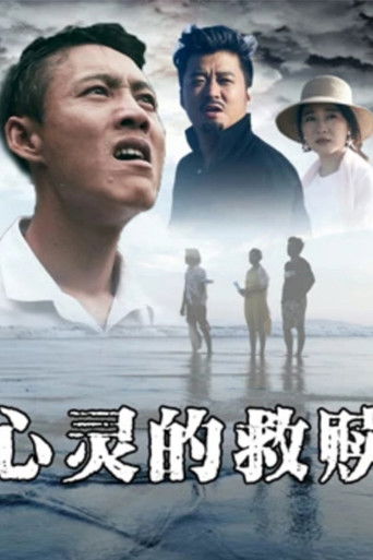 心灵的救赎 poster