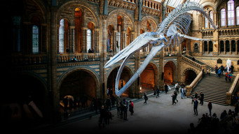Natural History Museum: World of Wonder - S2E01