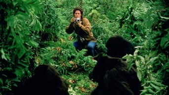Still 5 from Gorillas in the Mist
