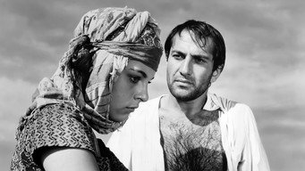 Dry Summer (1963)