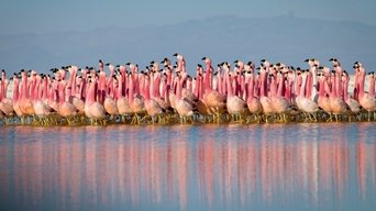 Planeta Tierra II - S1E01